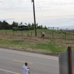 Cambria_0096 (November 05, 2011)